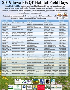 Workshops